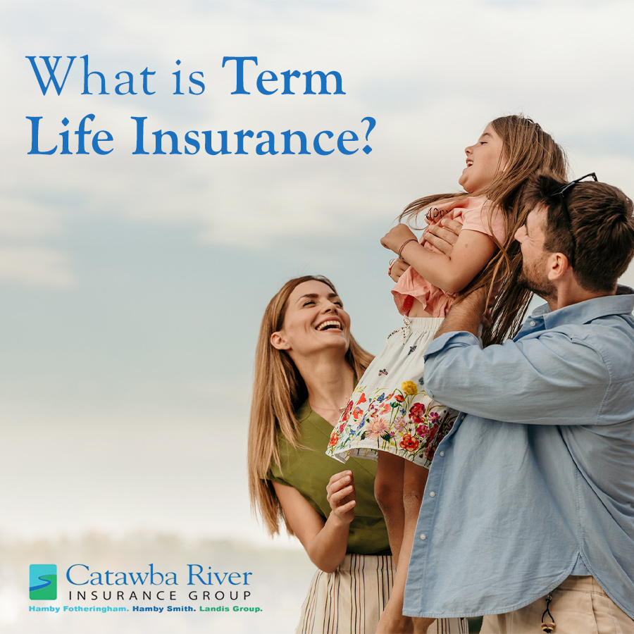 What is Term Life Insurance?