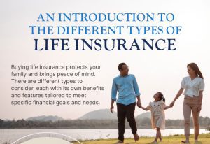 An Introduction to the Different Types of Life Insurance